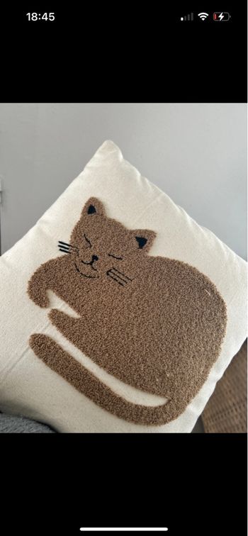 Coussin chat 
