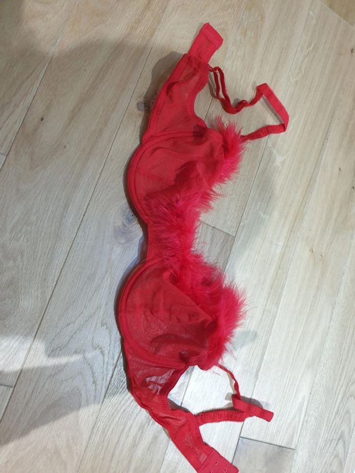 Soutien gorge rouge transparent avec plume