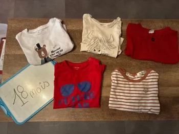 Lot teeshirt 18m