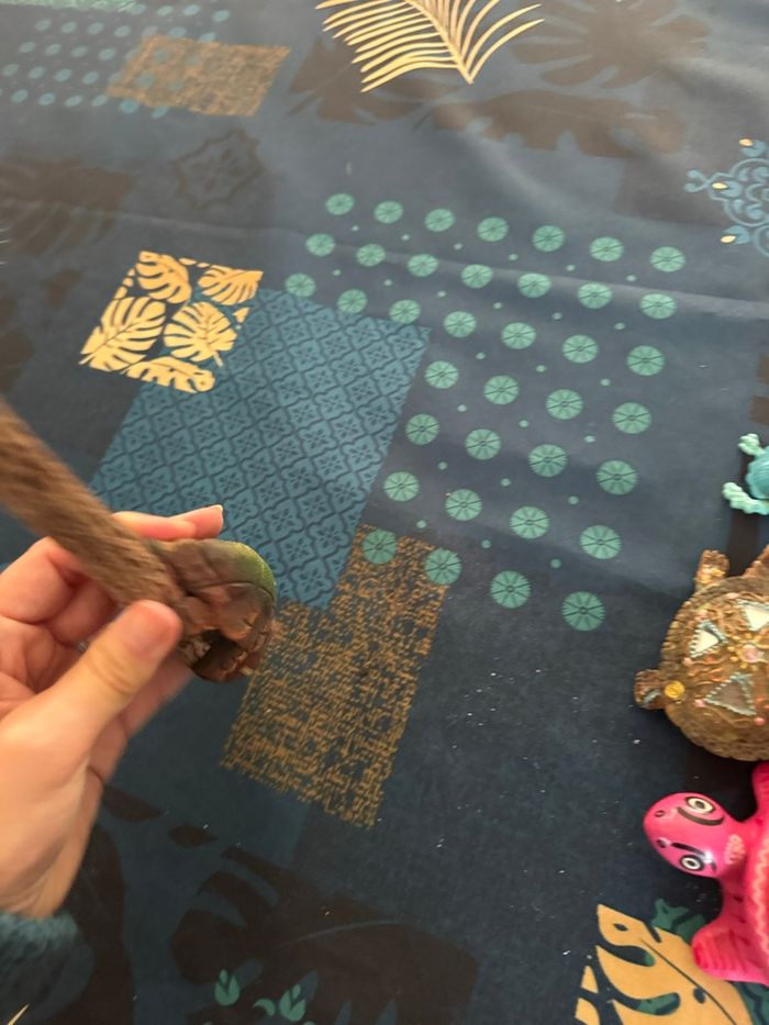 Crayon papier sculptétortue - photo numéro 4