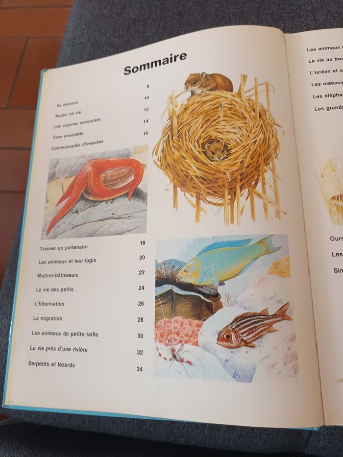 Mon 1er livre des animaux - photo numéro 3