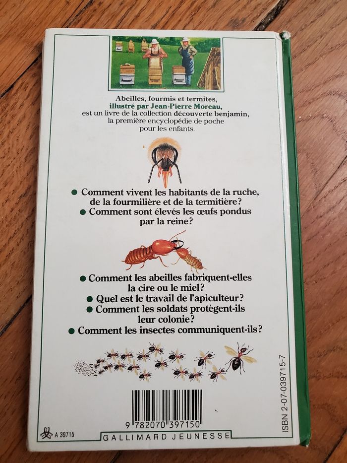 Les insectes - photo numéro 2