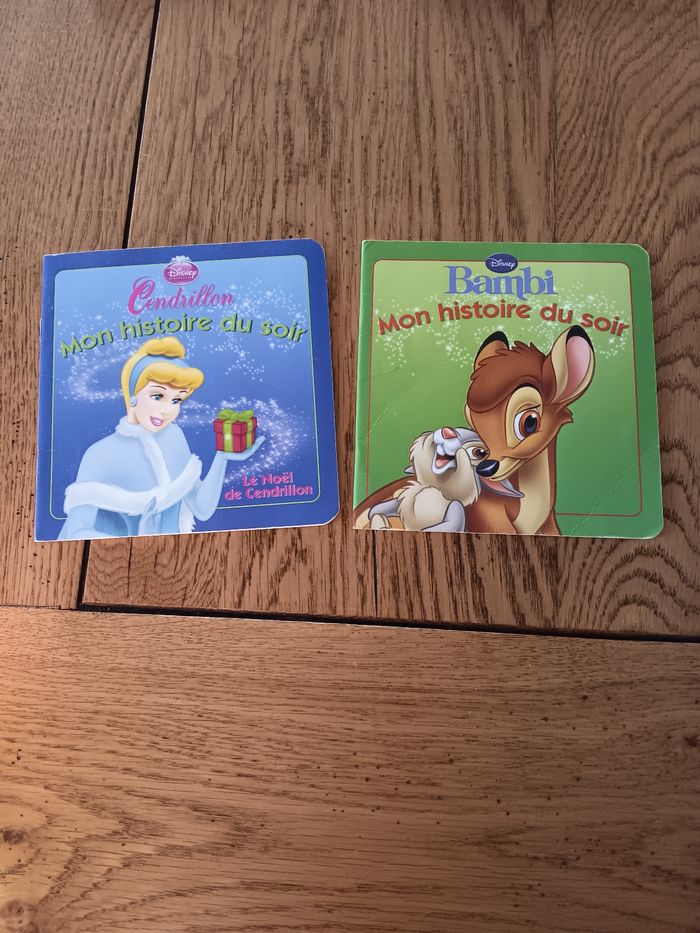 Lot de 2   livres Disney