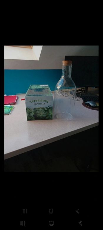 Terrarium