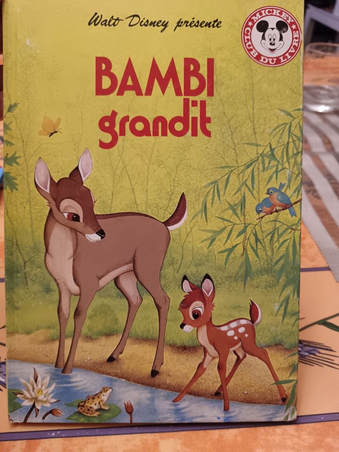 Lot de 9 livres Disney - photo numéro 8