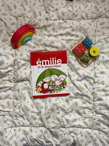 livre émilie et le pique nique édition casterman tome 20