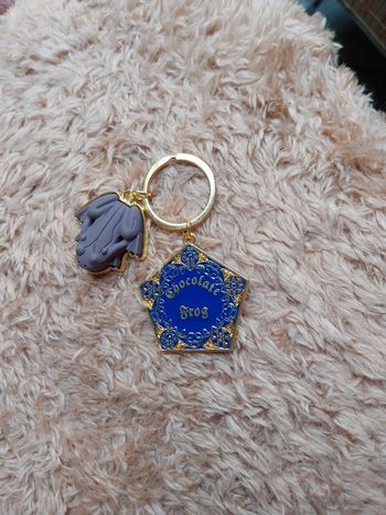 Porte clé harry potter grenouille faux chocolat