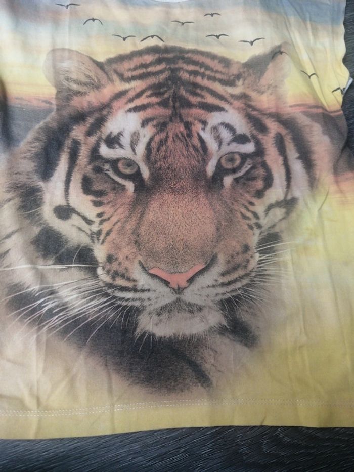 Tee shirt manche courte Tigre 10A - photo numéro 2