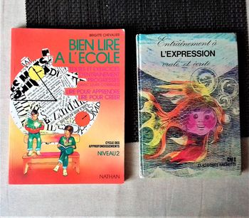 2 Livres Enseignement Primaire Vintage