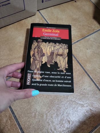 Livre germinal Émile zola