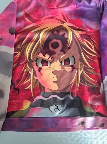 Sweat a capuche sevendeadlysins