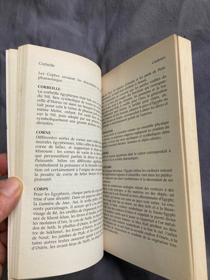 Dictionnaire historique de l’Égypte - photo numéro 4