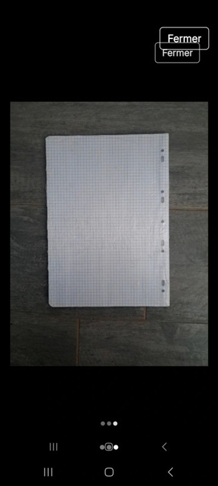 100 feuilles simples Conquérant - photo numéro 3