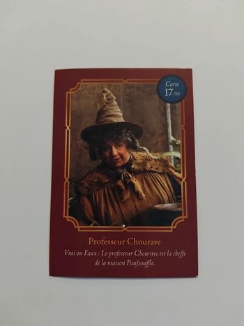 🃏 Carte Harry Potter (Auchan) - Wizarding World - Professeur Chourave 17/90
