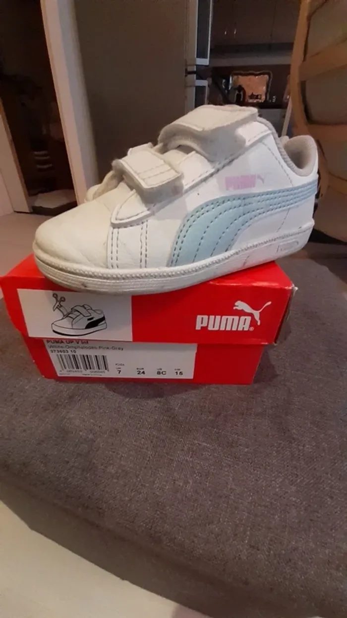 Basket puma