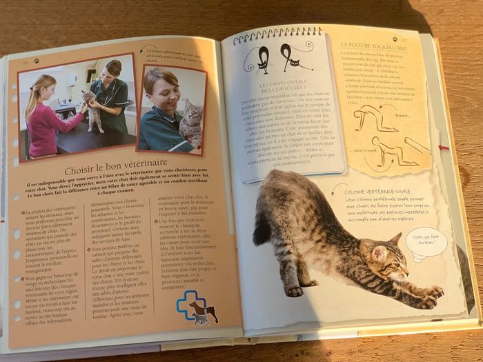 Livre chats - photo numéro 3