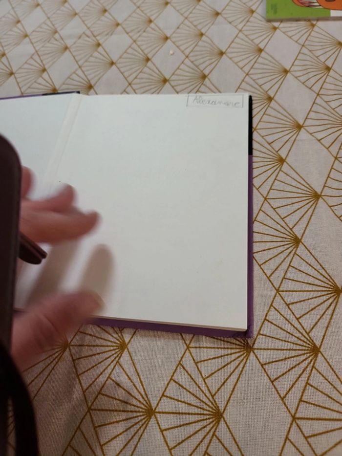 Livre - photo numéro 5