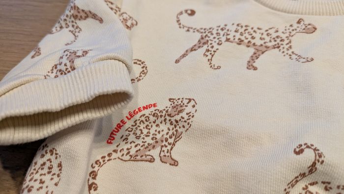 Pull motif Léopard - photo numéro 2