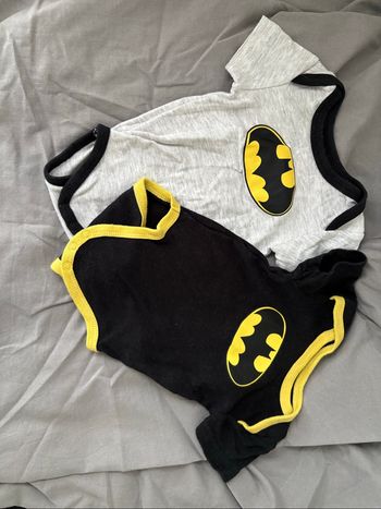 Bodies Batman