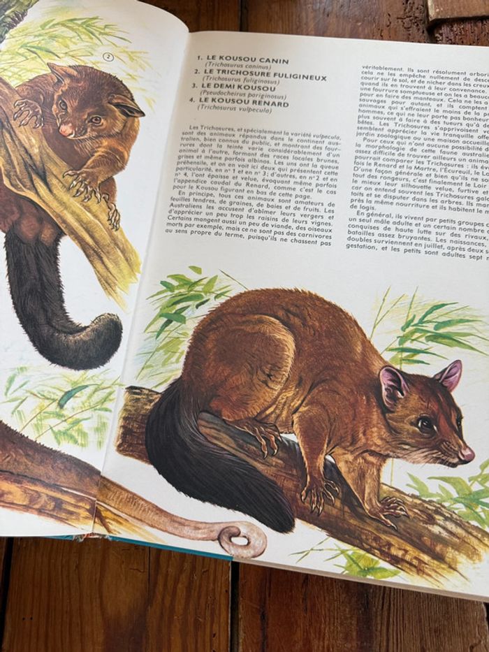 Robert Dallet Roby grand beau livre encyclopédie Faune d’Australie animaux album - photo numéro 6