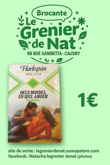 Livre harlequin deux mondes, un seul amour