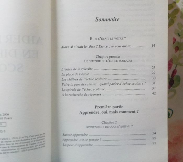 Aider l'enfant en difficulté scolaire par Jeanne Siaud-Facchin - photo numéro 6
