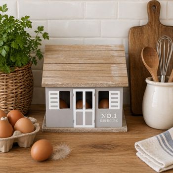 PLACARD À ŒUFS MAISON 20X14X18 CM GRIS 