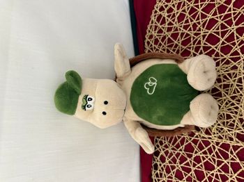 Peluche TORTUE beige vert marron - Althans club