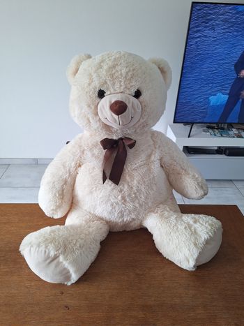 Ours en peluche
