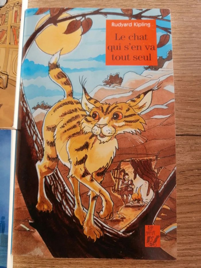 Lot romans lire c'est partir - photo numéro 4
