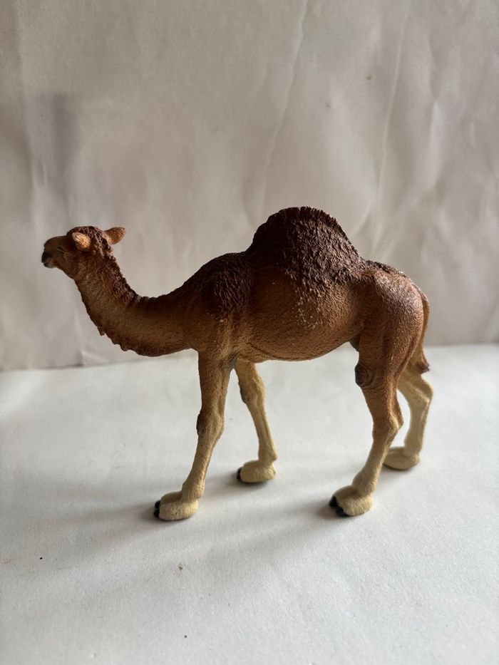 Chameau Schleich - photo numéro 3