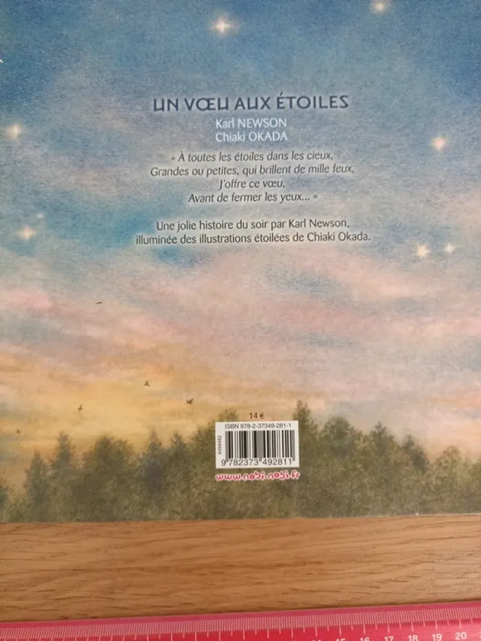 Livre un vœu aux étoiles - photo numéro 6