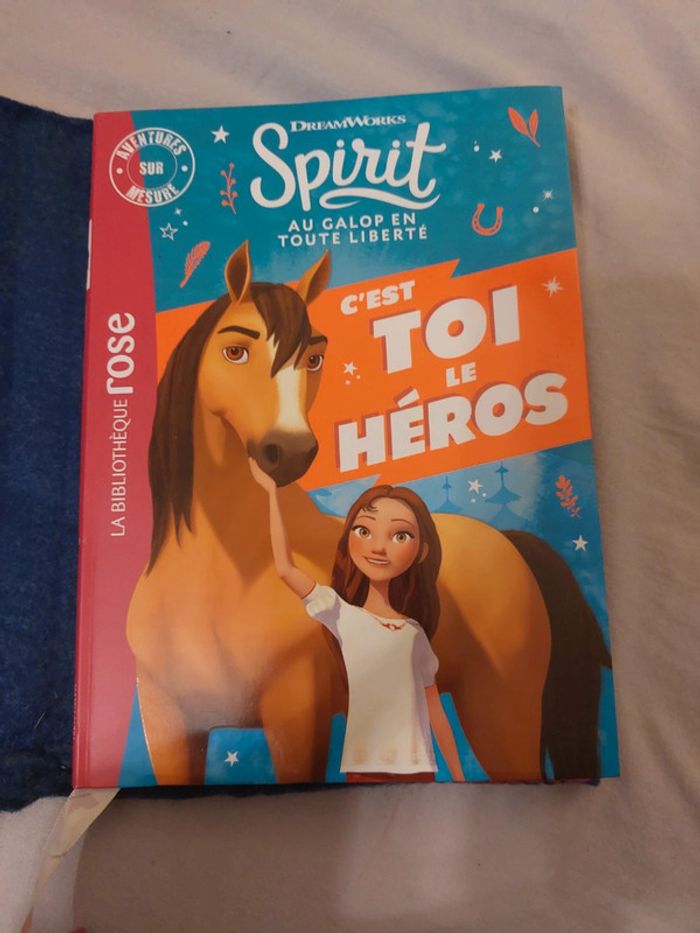 Roman Spirit C'est toi le héros