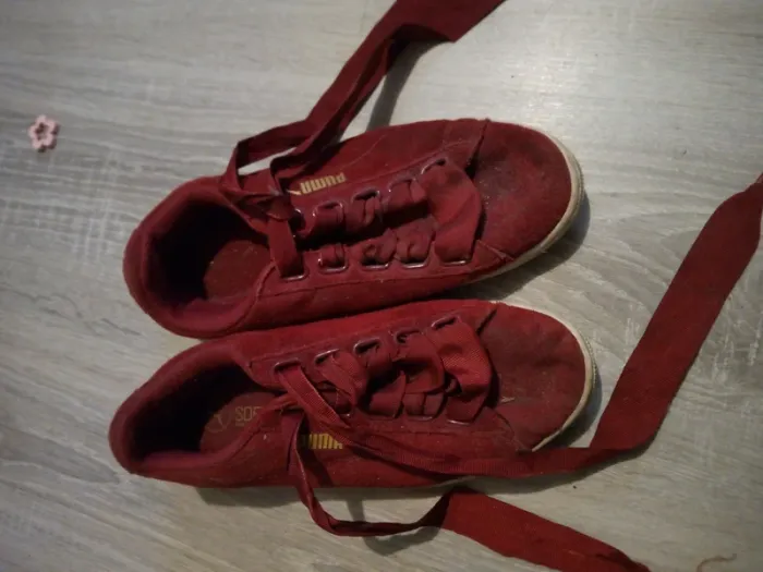 Puma avec gros lacet