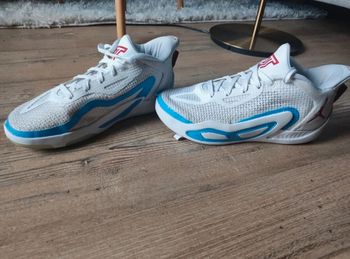 Basket de basketball 🏀 Jordan Tatum