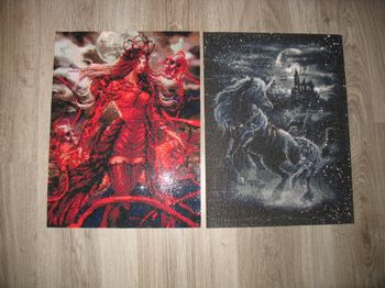 LOT DE 2 TABLEAUX PAINTING DIAMANT - 30 x 40 CM - n°01