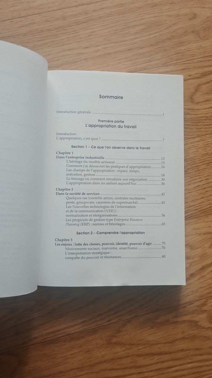 Mieux-être au travail: appropriation et reconnaissance - Philippe Bernoux - photo numéro 3