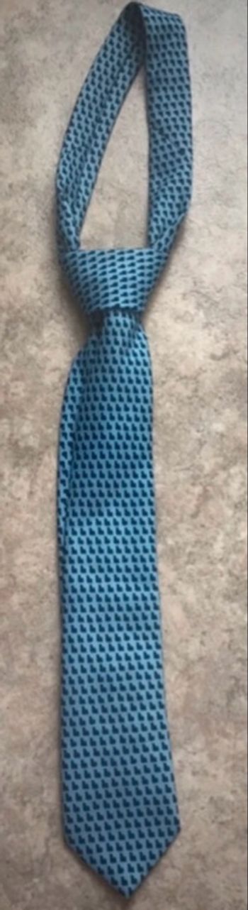 Cravatte bleu clair et marine 