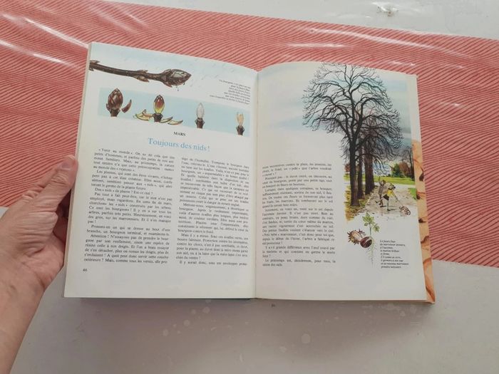 Livre vintage la nature - photo numéro 14