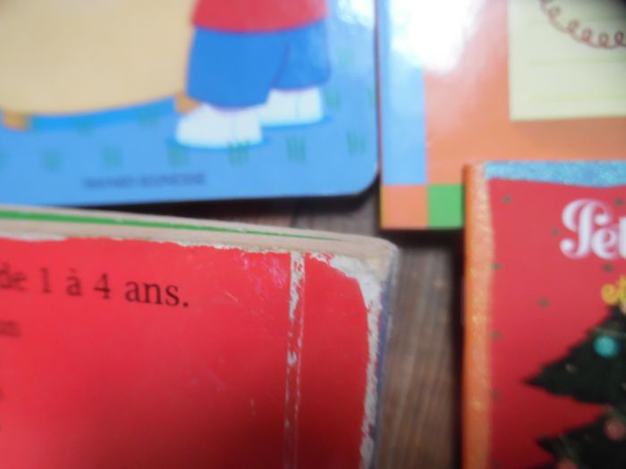 petit ours brun - photo numéro 4