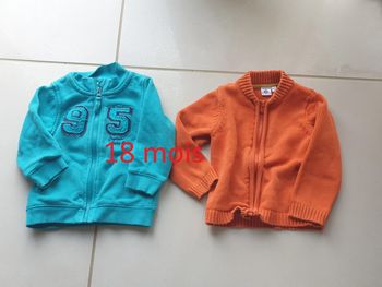 2 vestes a zip 18 mois