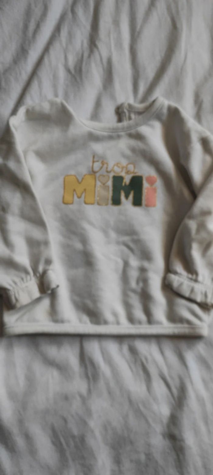 Pull Gemo - photo numéro 2