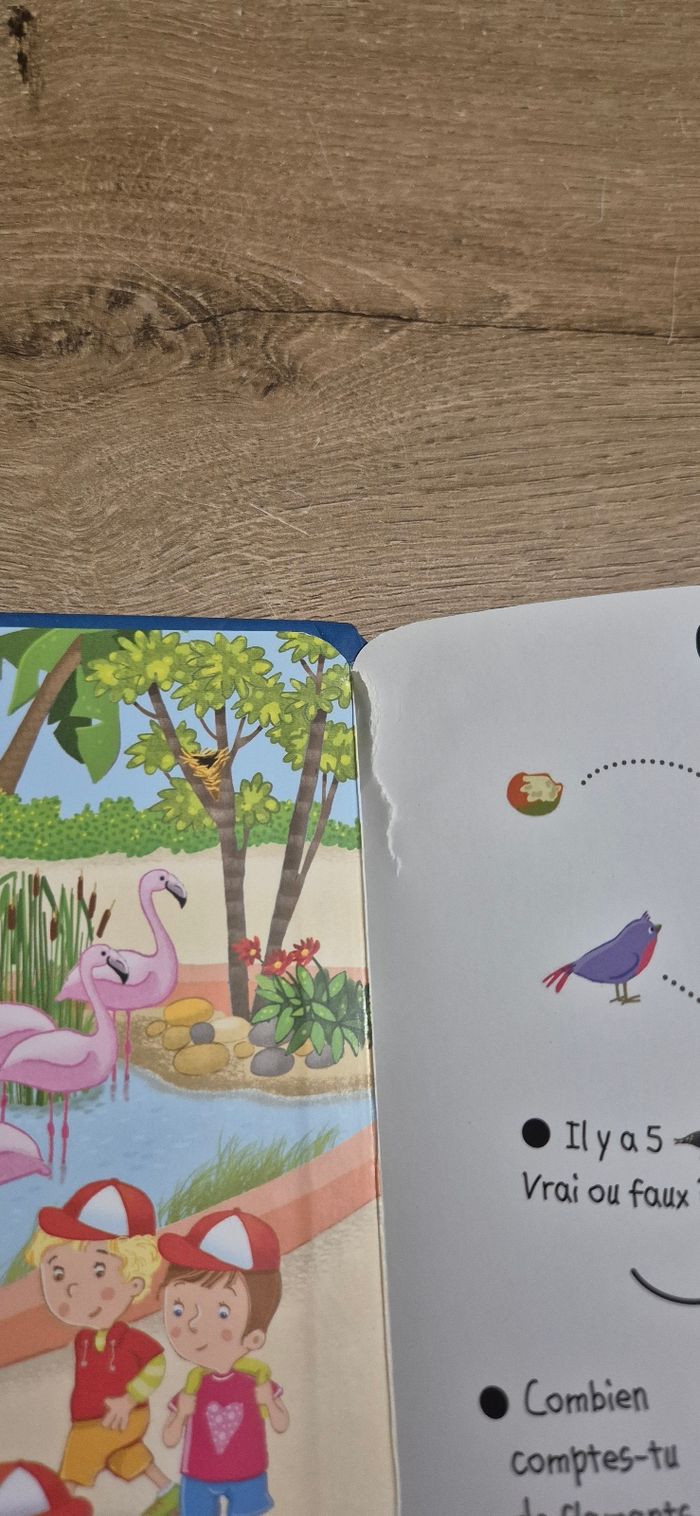 Livre Cherche et Trouve Au zoo - photo numéro 10