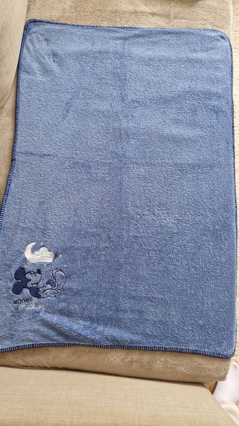 Plaid mickey