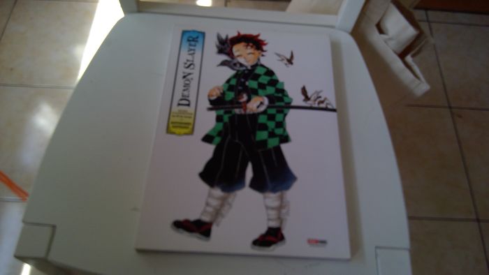Démon Slayer (Koyoharu Gotouge) - photo numéro 1