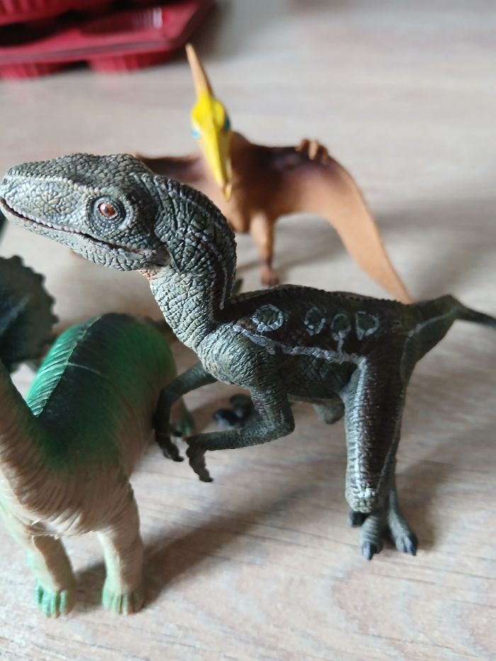 4 dinosaures - photo numéro 4