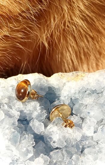 Boucles d'oreilles Clous Oeil du tigre