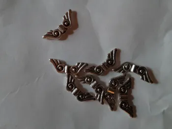 Petites ailes d'anges