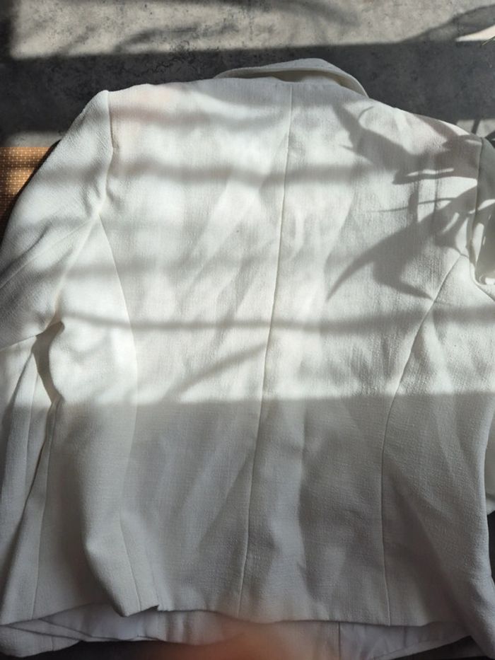 Blazer - photo numéro 6