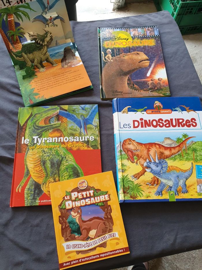 Lot livres dinosaures